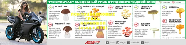 прущие крисы Богородск